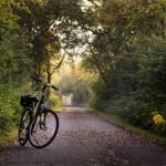 bike, trail, bicycle